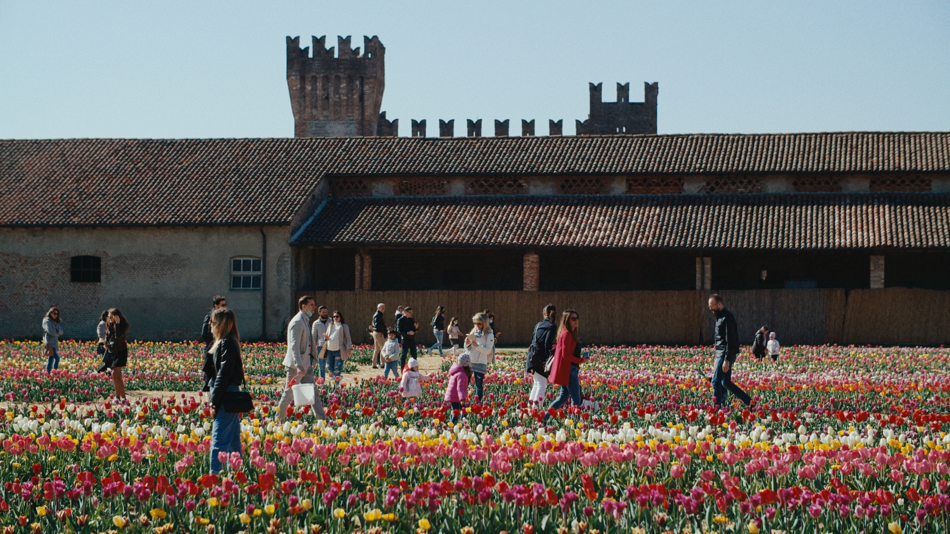 Tulipani al Castello