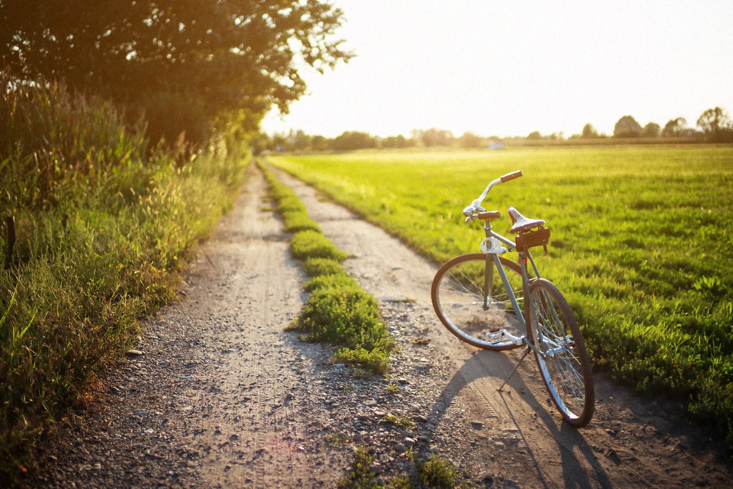 Piste ciclabili