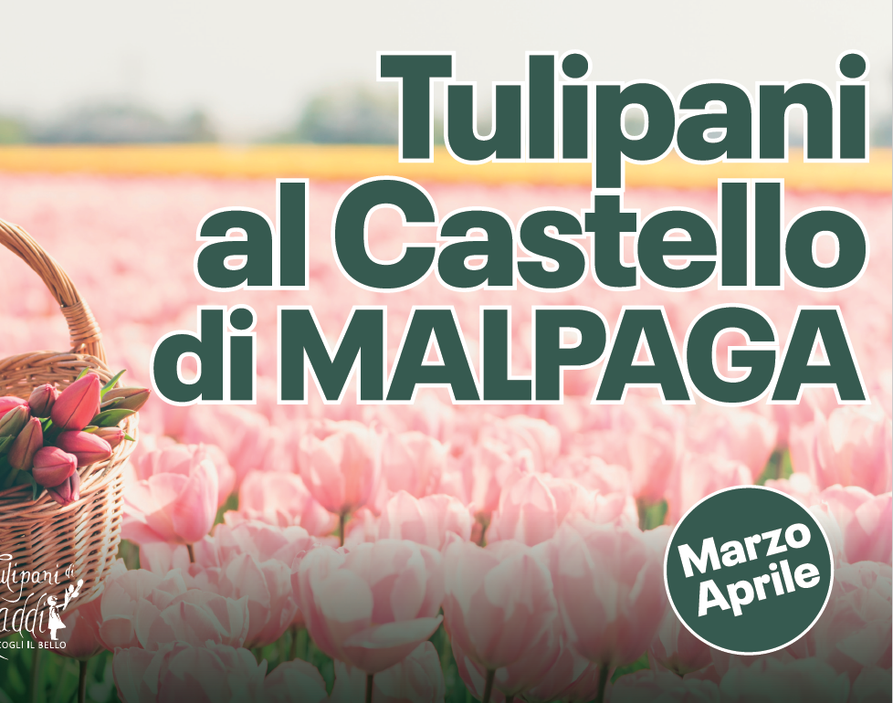 Tulipani al Castello